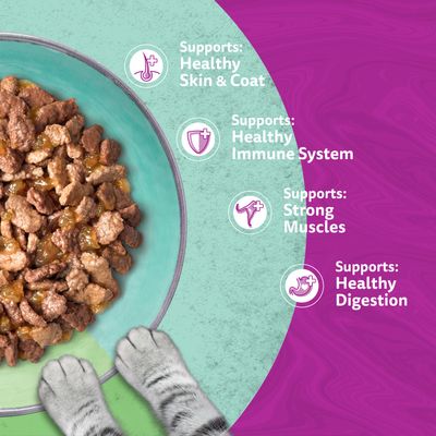 Whiskas 1+ Duo Mixed Medley in Jelly