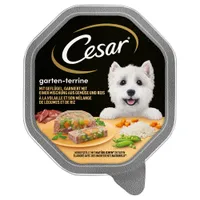 Cesar en tarrinas 14 x 150 g - Ave, verduras y arroz
