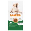 IAMS Advanced Nutrition Adult Large Dog met lam 12 kg