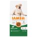 IAMS Advanced Nutrition Adult Large Dog met lam 12 kg