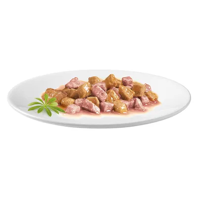 Morceaux de pâtée en sauce servis sur une assiette blanche, avec une petite garniture verte visible sur le côté.