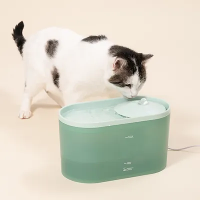 Bebedero Modern Living, verde claro para gatos - Accesorios: Filtros de repuesto (6 unidades)