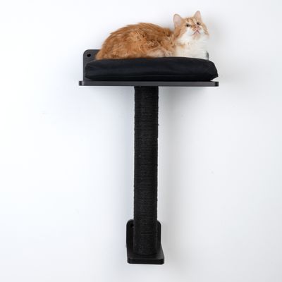 Tiragraffi da parete con colonna in sisal nero e superficie imbottita. Gatto rosso sdraiato sulla piattaforma superiore.