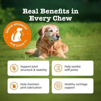 Zesty Paws Senior Hip & Joint Chews morčacie