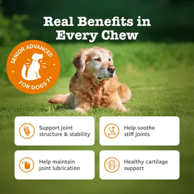 Zesty Paws Senior Hip & Joint Chews krůtí - 90 žvýkacích tablet