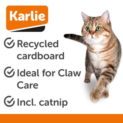 Kör alakú, kartonból készült macskajáték, fekete-fehér mintával, középen kaparófelülettel és oldalán látható kék golyóval.