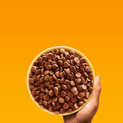 Pedigree Mini Adult <10kg, med naturliga ingredienser, kyckling och grönsaker, 2kg. Bild på torrfoder och liten hund.