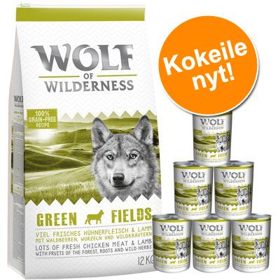 Wolf of Wilderness -kokeilupakkaus: kuiva- ja märkäruoka paketti II