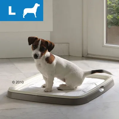 Hund sitter på en rektangulär toalettbricka med absorberande underlägg inomhus. Blå ikon med bokstaven L och hundsilhuett syns i hörnet.