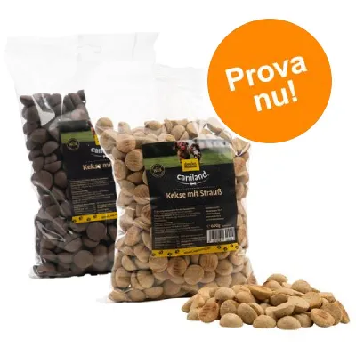 Blandpack: 2 x 600 g Caniland Kex häst + struts - 2 x 600 g