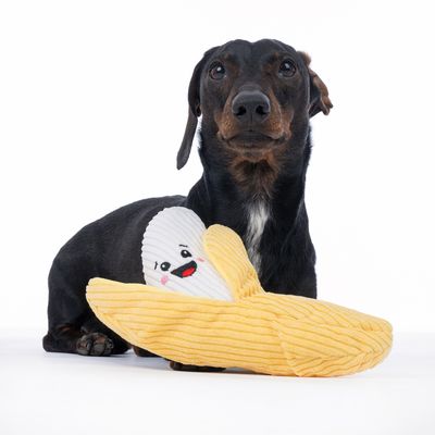 Cane con gioco di peluche giallo a forma di banana, volto sorridente visibile su tessuto bianco.