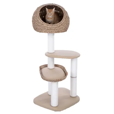 Arbre à chat beige avec trois plateformes, poteaux recouverts de corde blanche et niche en osier tressé, un chat roux assis dans la niche supérieure.