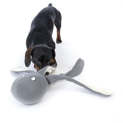 Hond speelt met grijs stoffen speelgoed in de vorm van een dier met lange oren en geborduurde ogen.