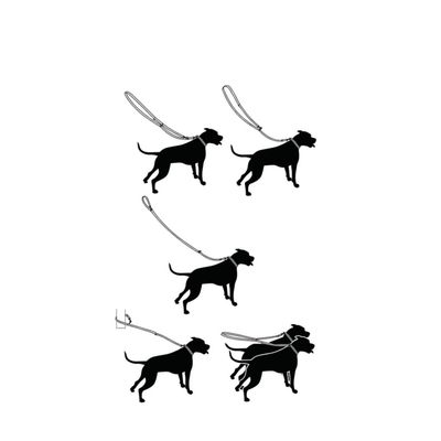 Schéma montrant différentes façons d’attacher une laisse à un ou plusieurs chiens, y compris à un point fixe et en duo.