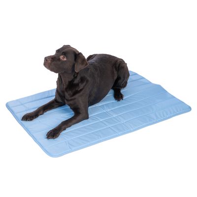 Μαύρος σκύλος ξαπλωμένος σε μπλε δροσερό στρώμα. Στρώμα με καπιτονέ σχέδιο, κατάλληλο για ρύθμιση θερμοκρασίας.