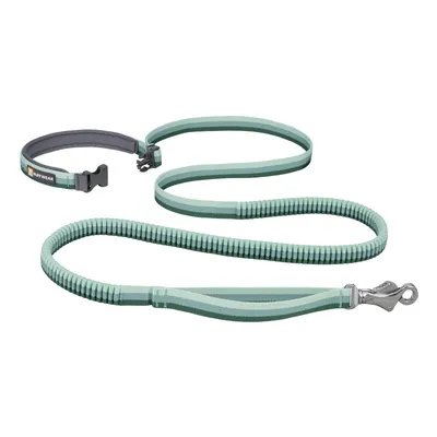 Grünes Hundehalsband und passende Leine mit elastischem Abschnitt, Marke Ruffwear. Metallverschluss an der Leine sichtbar.