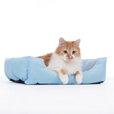 Kočičí pelíšek ve světle modré barvě s červeno-bílou kočkou uvnitř. Produkt ukazuje pohodlí a design pelíšku.