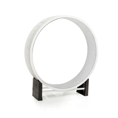 CanadianCat Company Cat in Motion Wheel - White/Grey