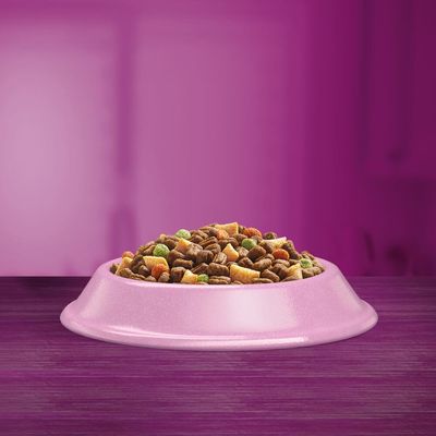 Miska so suchým krmivom v rôznych farbách a tvaroch na fialovom pozadí.