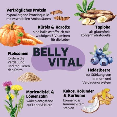 Belly Vital: Verträgliches Protein, Kürbis & Karotte, Flohsamen, Mariendistel & Löwenzahn, Tapioka, Heidelbeere, Kokos, Holunder & Kurkuma mit jeweiliger Wirkung beschrieben.