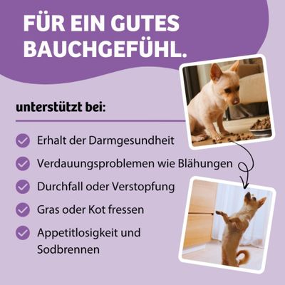 Für ein gutes Bauchgefühl. Unterstützt bei: Erhalt der Darmgesundheit, Verdauungsproblemen wie Blähungen, Durchfall oder Verstopfung, Gras oder Kot fressen, Appetitlosigkeit und Sodbrennen.