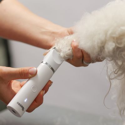 Hand holding a white D'KERBL pet hair clipper, trimming fur on an animal's paw.