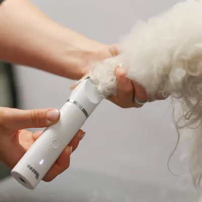 Hand hält eine weisse D'KERBL Tierhaarschneidemaschine, schneidet Fell an der Pfote eines Tieres.