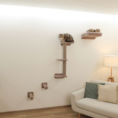Nástenný škrabací strom s viacerými úrovňami a plochami na sedenie, dve mačky na ňom. Vhodný do priestorovo úsporných obytných miestností.