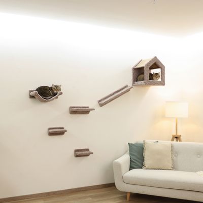 Wandgemonteerd klim- en rustsysteem voor katten met platforms, helling en huisje. Twee katten gebruiken de elementen om te liggen en te observeren.