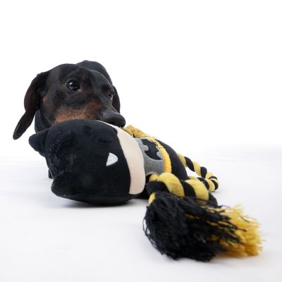 DC Batman tauleke for hunder