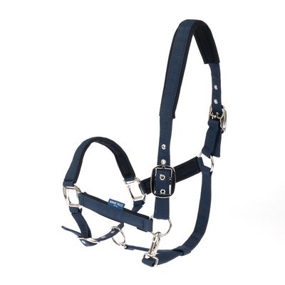 Capestro blu in nylon con finiture in metallo argentato e fibbie regolabili. Etichetta con la scritta 'Nomad Tales'.