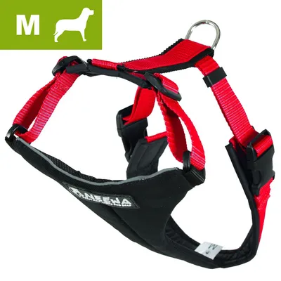 Harnais pour chien Neewa, taille M, en tissu noir et sangles rouges avec boucle métallique et attaches en plastique visibles.