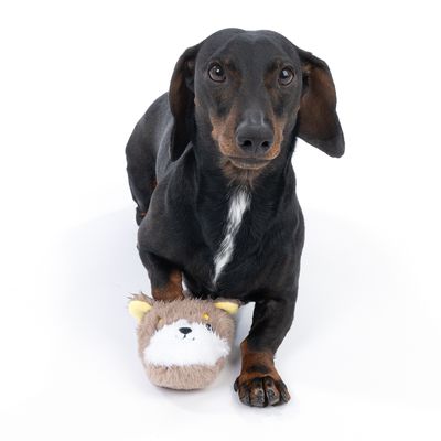 Černý pes s plyšovou hračkou ve tvaru hnědé zvířecí hlavy se žlutými ušima a bílým obličejem. Hračka je držena tlapou.
