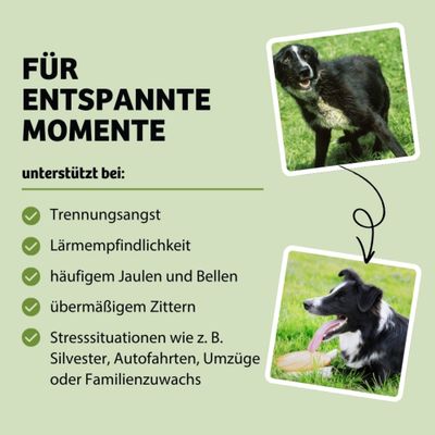 Für entspannte Momente. Unterstützt bei Trennungsangst, Lärmempfindlichkeit, häufigem Jaulen und Bellen, übermäßigem Zittern, Stresssituationen wie Silvester oder Umzügen.
