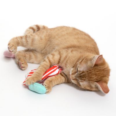 Czerwony kot bawi się czerwono-białą, pasiastą zabawką z tkaniny i turkusowym elementem z tkaniny.