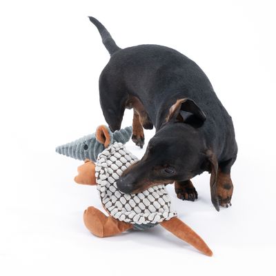 Zwarte hond speelt met een knuffel in de vorm van een gordeldier, gemaakt van verschillende texturen en kleuren.