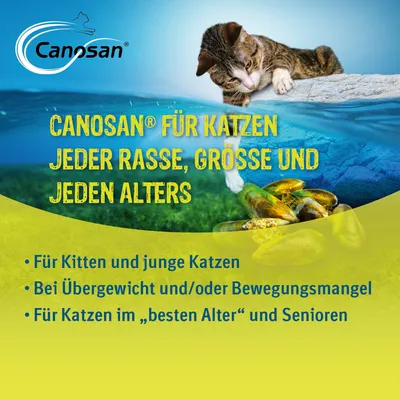 Canosan® für Katzen jeder Rasse, Größe und jeden Alters. Für Kitten und junge Katzen, bei Übergewicht und/oder Bewegungsmangel, für Katzen im besten Alter und Senioren.