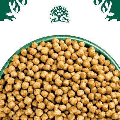 James Wellbeloved Kitten Hypoallergenic Kalkoen & Rijst