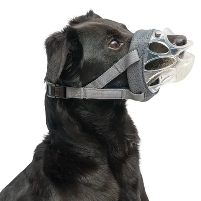Zwarte hond met grijze kunststof muilkorf en verstelbare riemen. Toont de pasvorm en het gebruik van het product.