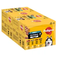 Pedigree Adult Protein Plus Portion Gelé - 12 x 85 g (4 Varianter)