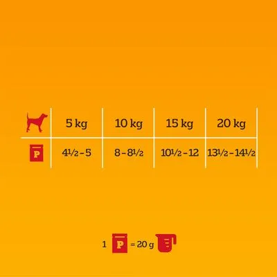 Pedigree Adult Protein Plus i gelé i portionspåse - Ekonomipack: 48 x 85 g (4 sorter)