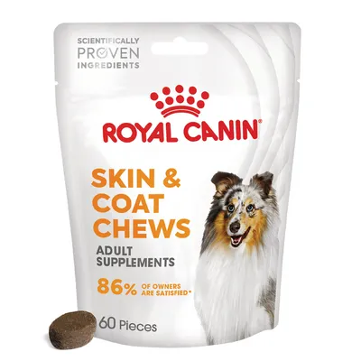 Royal Canin Skin & Coat Adult Supplement Chews - výhodné balenie: 2 x 240 g (120 ks)