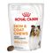 Royal Canin Skin & Coat Chews Adult Supplement Snack cane 240 g (60 pz)