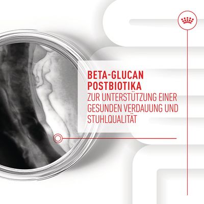 Beta-Glucan Postbiotika zur Unterstützung einer gesunden Verdauung und Stuhlqualität.