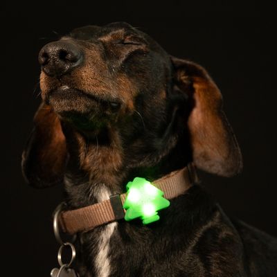 TIAKI Pendentif lumineux Forest, vert