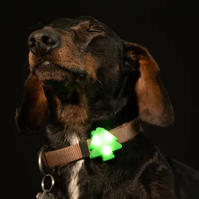 TIAKI Pendentif lumineux Forest, vert - vert