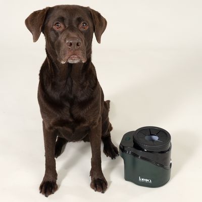 kooa автоматично устройство за почистване на лапи