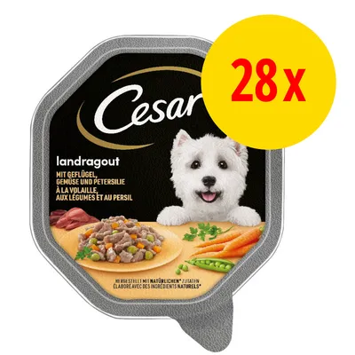 Cesar landragout, 28-pack. Text på förpackning: mit Geflügel, Gemüse und Petersilie, à la volaille, aux légumes et au persil. Bild på köttbitar, morötter och ärtor. Cesar landragout, 28-pack. Text på förpackning: mit Geflügel, Gemüse und Petersilie, à la volaille, aux légumes et au persil. Bild på köttbitar, morötter och ärtor.