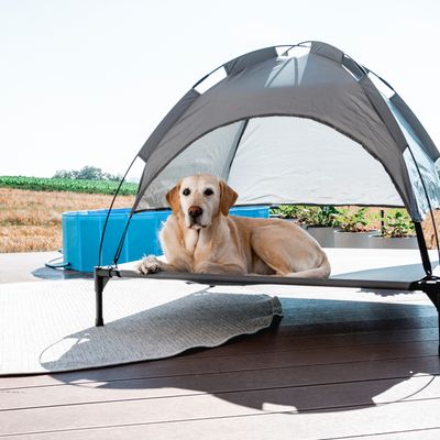 Lehátko pro psy se stříškou proti slunci, vhodné pro venkovní použití. Lehátko z kovového rámu a textilu, umístěné na terase.