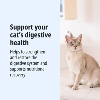 Support your cat’s digestive health. Helps to strengthen and restore the digestive system and supports nutritional recovery.